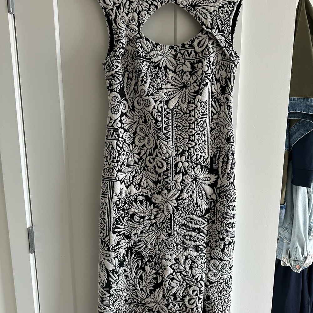 Anthropologie Damask Black and White Floral Dress